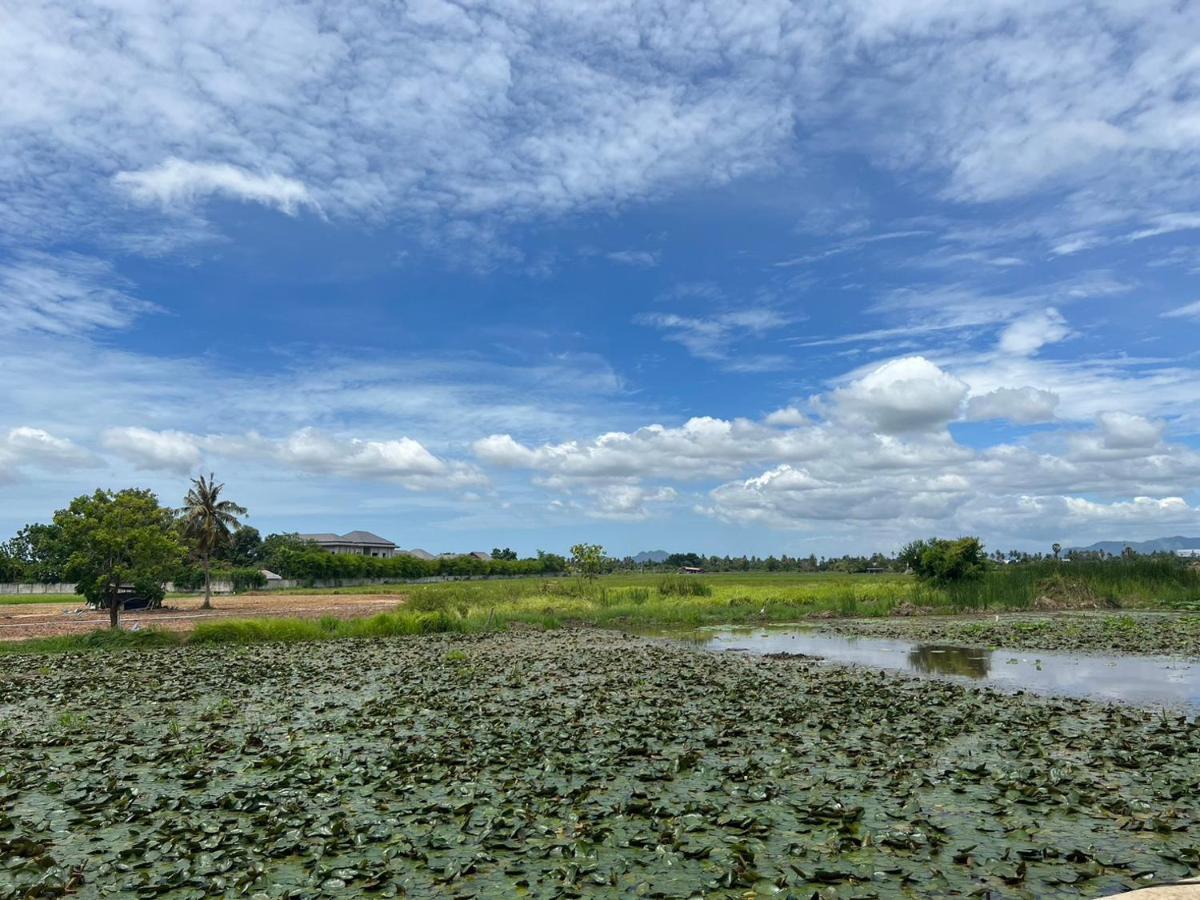 On Green Resort Ban Huai Sua Exterior foto