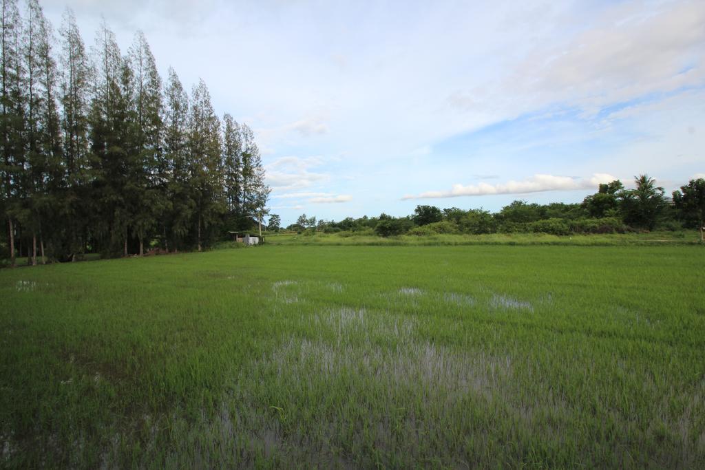 On Green Resort Ban Huai Sua Exterior foto